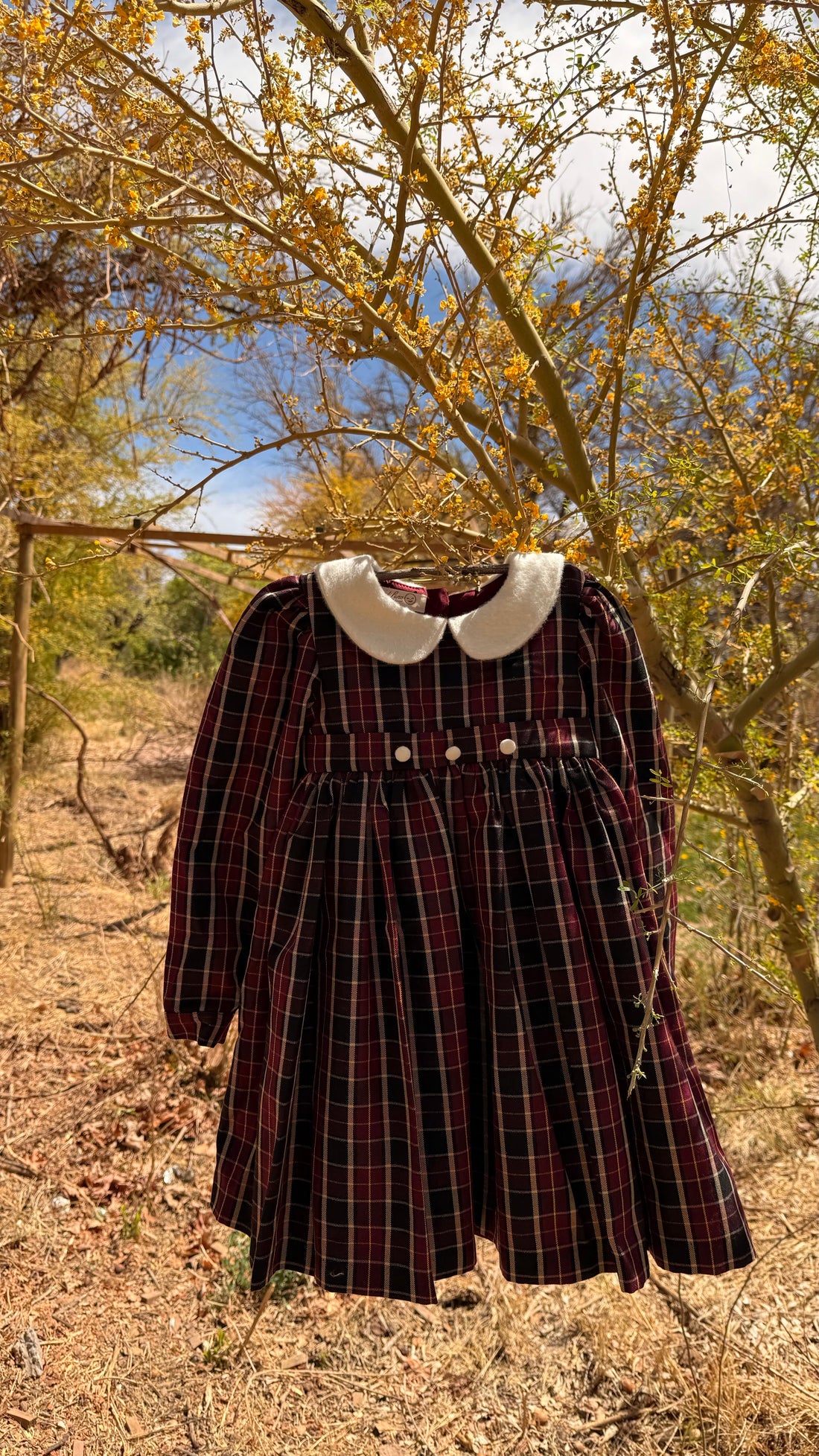 Pioneros en reinterpretar la baby alpaca velour para la moda infantil de lujo